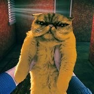 No I’m not a Human Cat Lady Visitor img